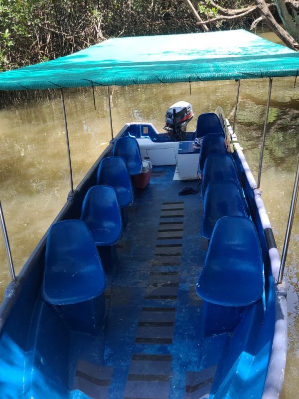 Chelonia Tours